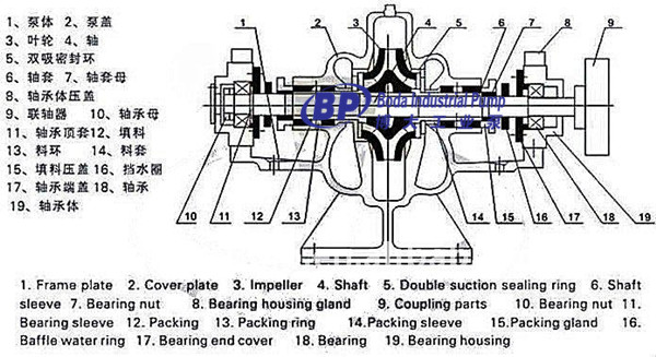 Double Suction Water Pump