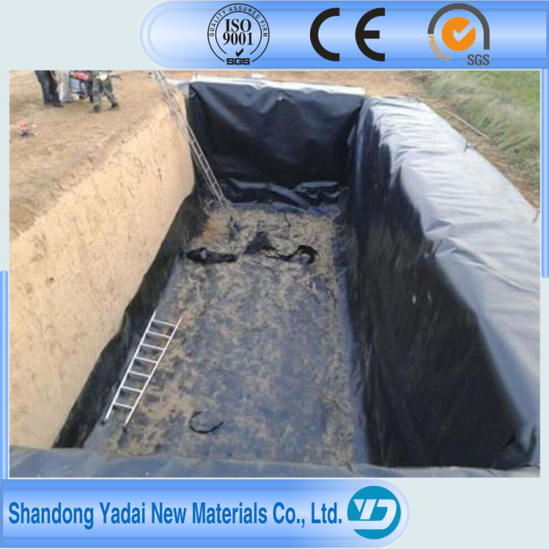 1.5mm HDPE Textured Geomembrane for Shrimp Farm Pond Liner