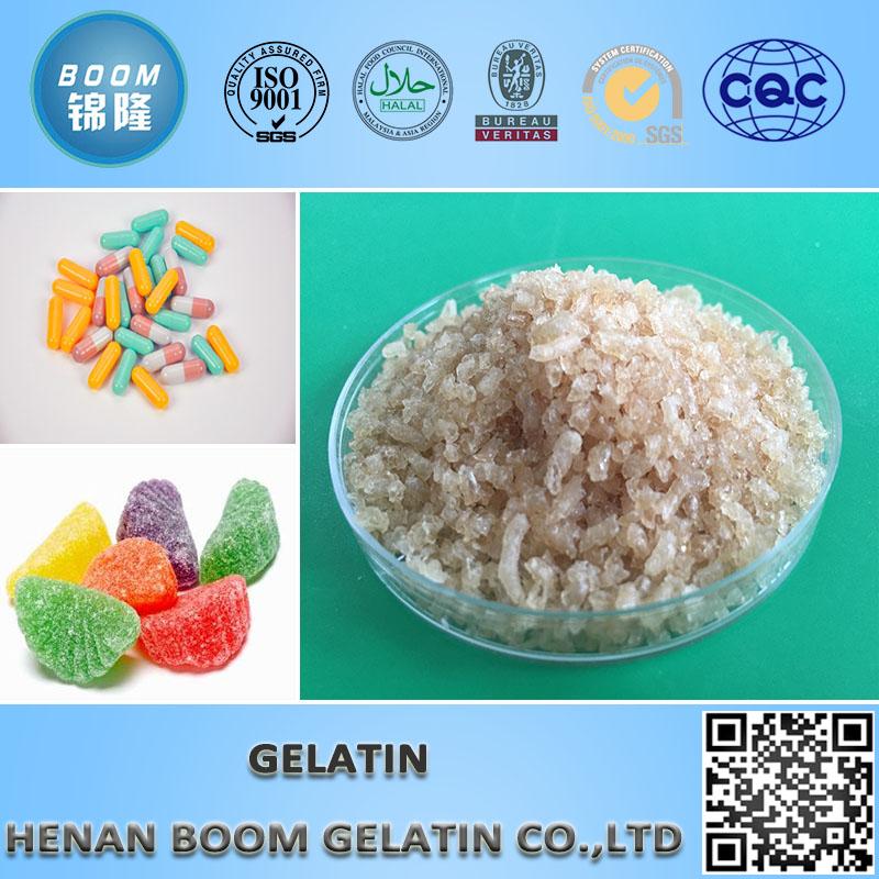 Edible Gelatin