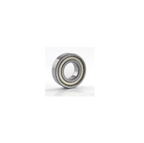 Deep Groove Ball Bearing (99502H)