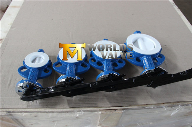 Wafer Type Butterfly Valve with PTFE Liner