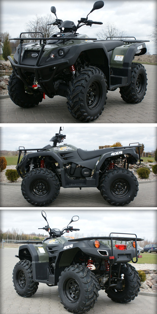 Adults 4X4 ATV Quad Bike 300cc Chinese Brand ATV