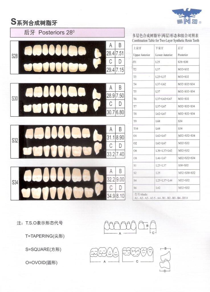 R201 Two Layer Synthetic Resin Teeth