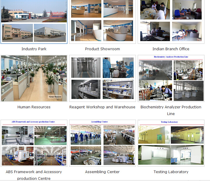 Pid Microprocessor Controller Forced Air Drying Oven