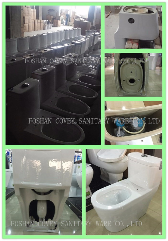 ceramic One Piece Toilet with Water Mark (CVT831)