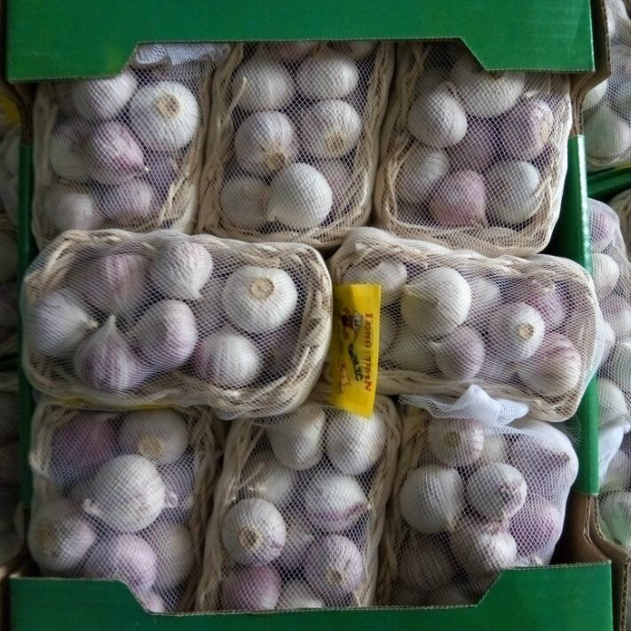 2015 High Quality Red Solo Garlic (4.5cm and up)