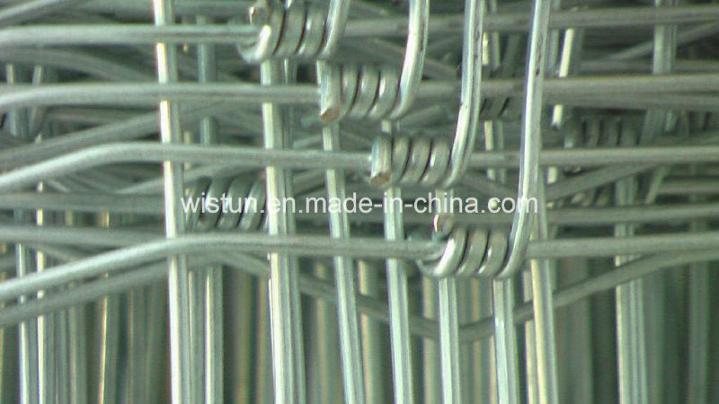 Cattle Farm Fence/Field Fence/Grassland Fence