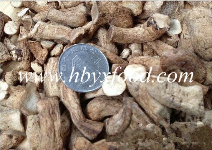 Hot Sale Dried Mushroom Leg with Halal Certificate