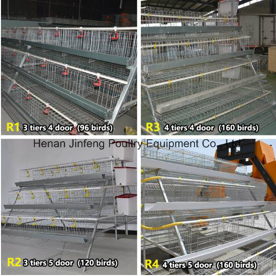 a Type Layer Broiler Pullet Chicken Cage Poultry Equipment