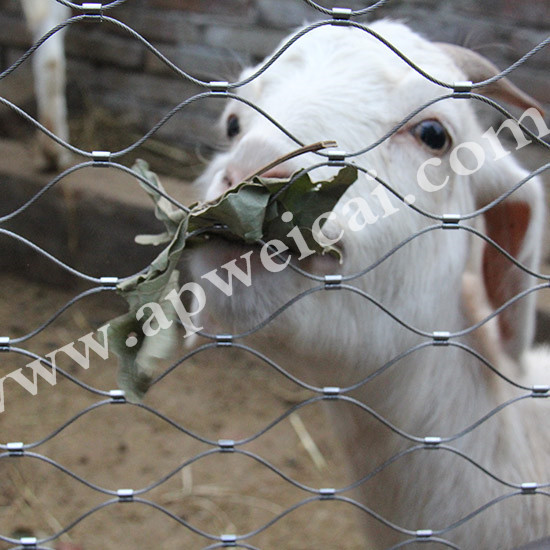 Animal Cages Rope Mesh