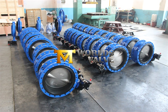 PTFE Coated Complete Control Butterfly Valve (CBF02-TA04)