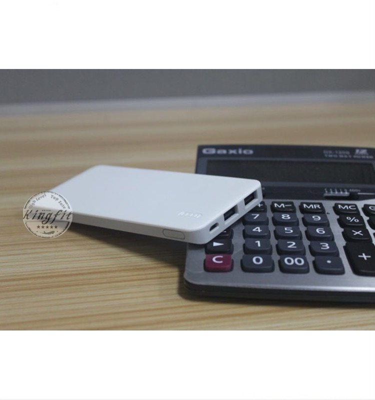 Dual USB 10000mAh Portable Mobile Phone Power Bank