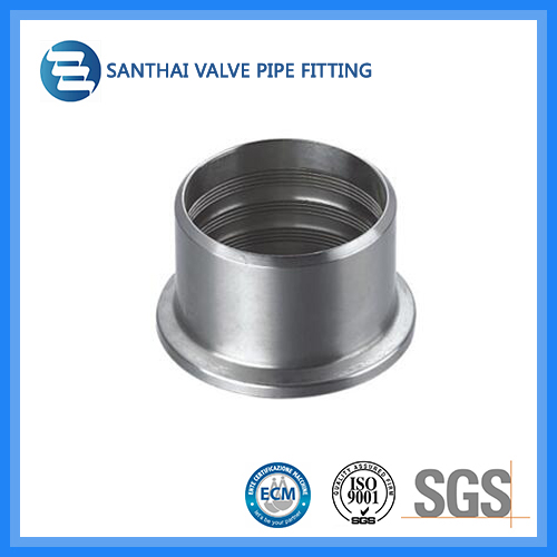 Stainless Steel Pipe Fitting Ferrule Expanded Liner/Union