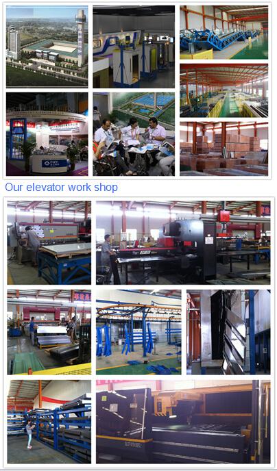 Shandong FUJI Zy Small Service Elevator