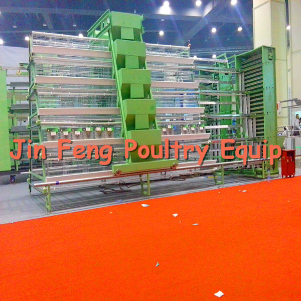 a Type Poultry Equipment Chicken Cage for Layer Broiler Pullet