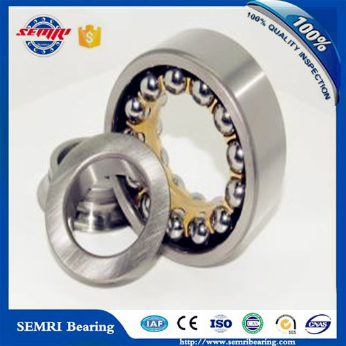 Japan NSK/ Koyo Angular Contact Ball Bearing (7310CDT)