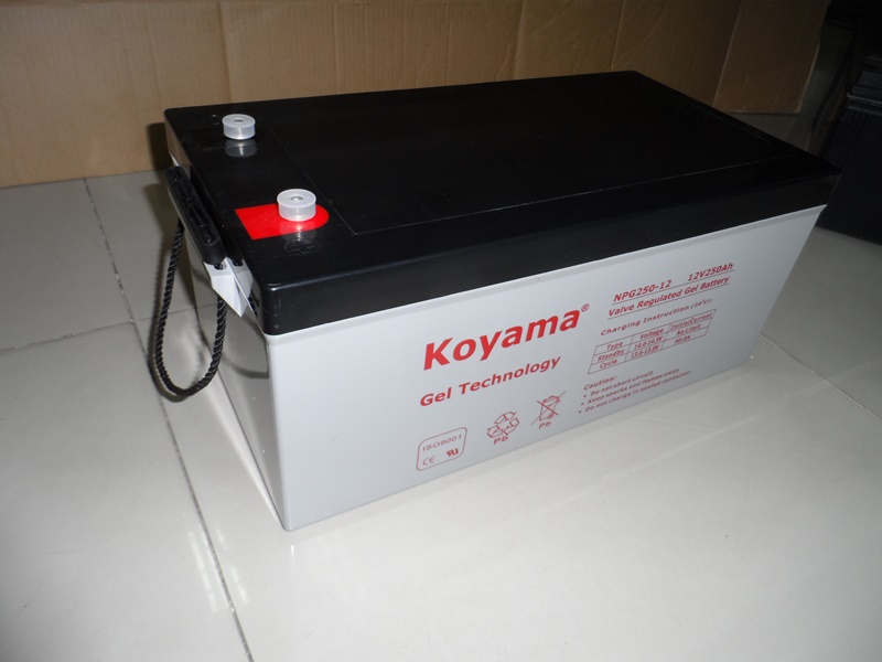 2015 Your Best Supplier with The Highest Quality for Gel Battery/Solar/Deep Cycle Battery