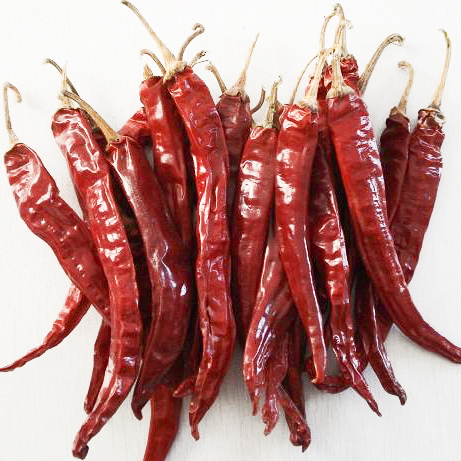 Export New Crop Vegetable A Grade Hot Chilli