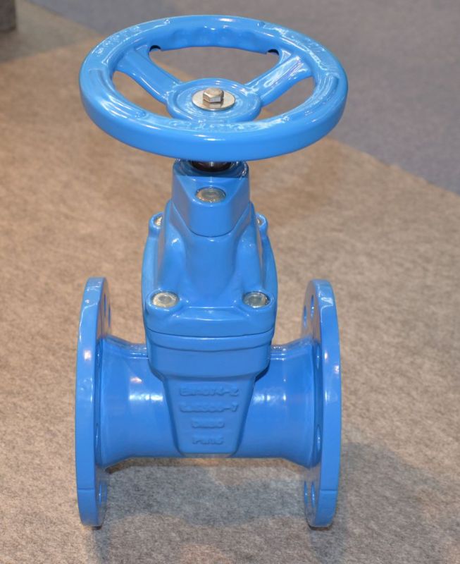 Cast Iron DIN Pn16 Resilient Seated Gate Valves