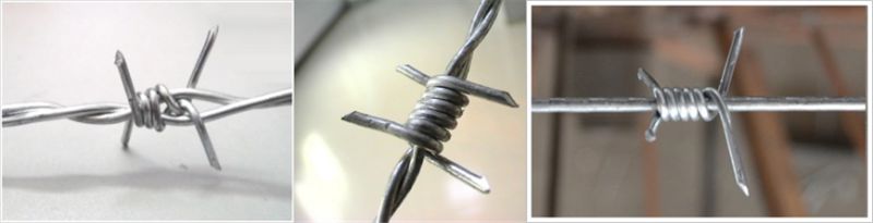 PVC Coated/Electric Galvanized Barbed Wire