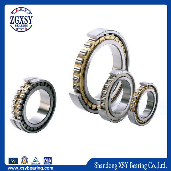 NF Series Cylindrical Roller Bearing