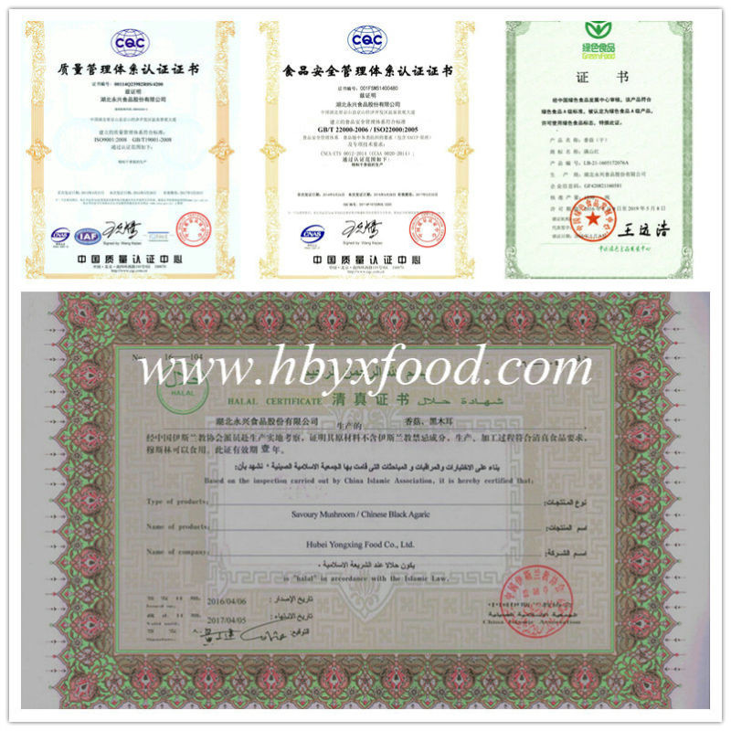 2015 Ad Shiitake Granules with Halal Certificate