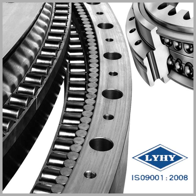 Detailed Technical Information for Replaceble Rotek Slewing Ring Bearing (A18-80E)