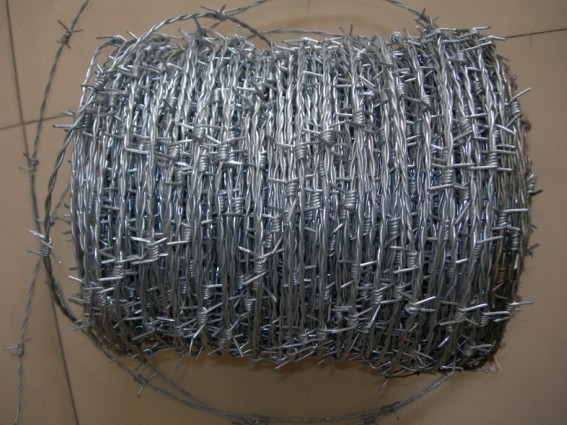 Barbed Wire Mesh (barbed wire)