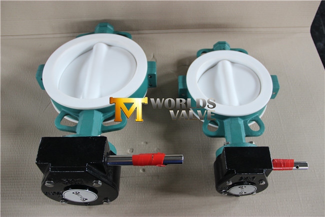 PTFE Coated Butterfly Valve Wafer Type with Ce ISO Certificates (CBF02-TA04)