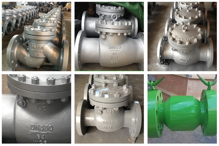 Cast Steel Axial Flow Check Valve