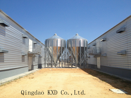 Prefabricated Light Steel Structure Chicken House with Equipment (KXD-SSC1501)