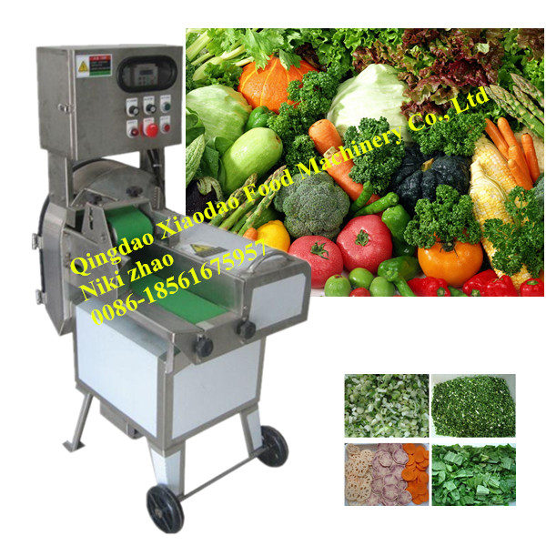 Vegetable and Fruit Slicer Machine, Vegetable Slicer