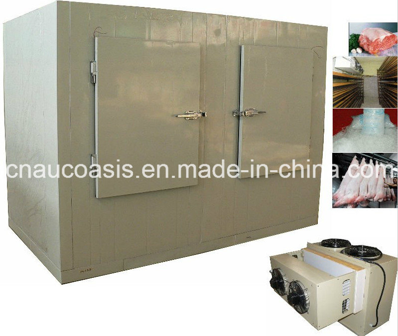 Cold Storage Room for Meat and Fish Indoor/Outdoor Use