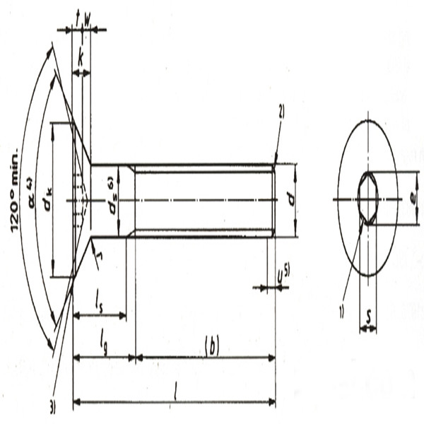 Factory Price Stainless Steel Hexagon Socket Countersunk Head Screws (BL-5008)