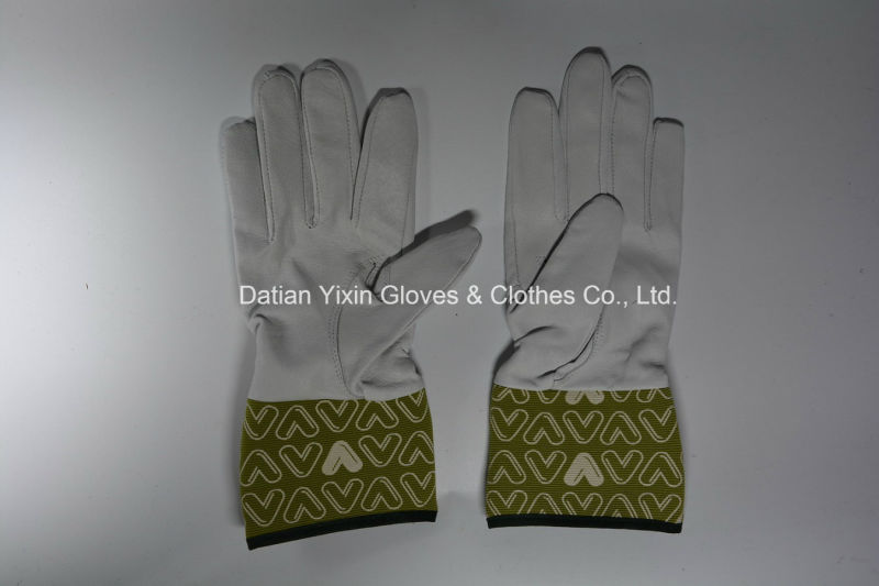 Garden Glove-Leather Glove-Working Glove-Industrial Glove