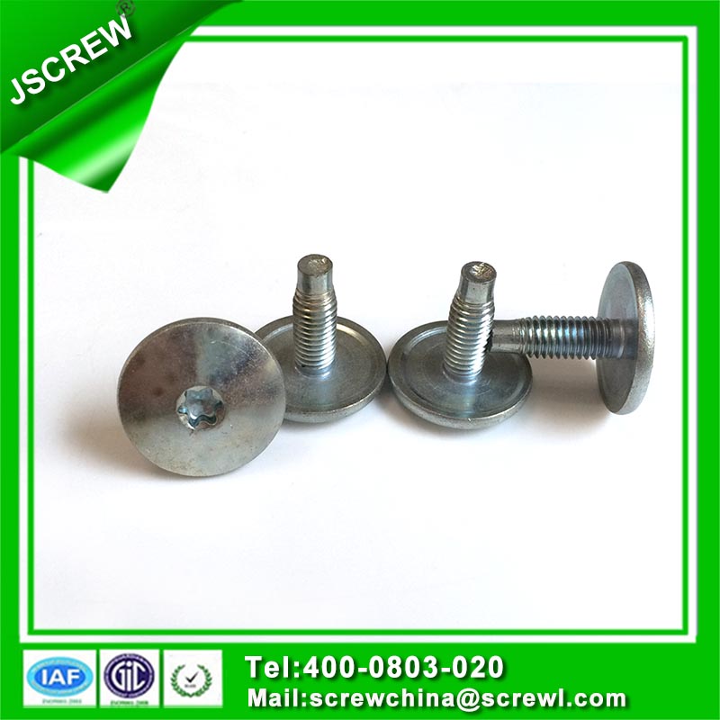 Truss Head Stainless Steel Torx Screw