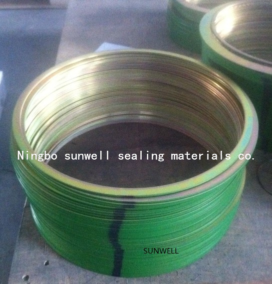 Carbon Steel Rings/316L/304 Gasket Rings