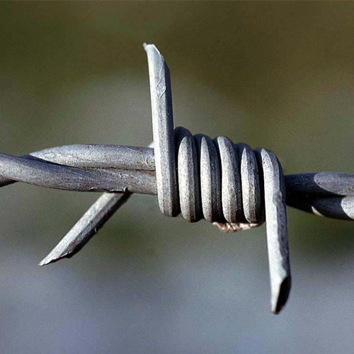 China Manufacturer Galvanized Barbed Wire