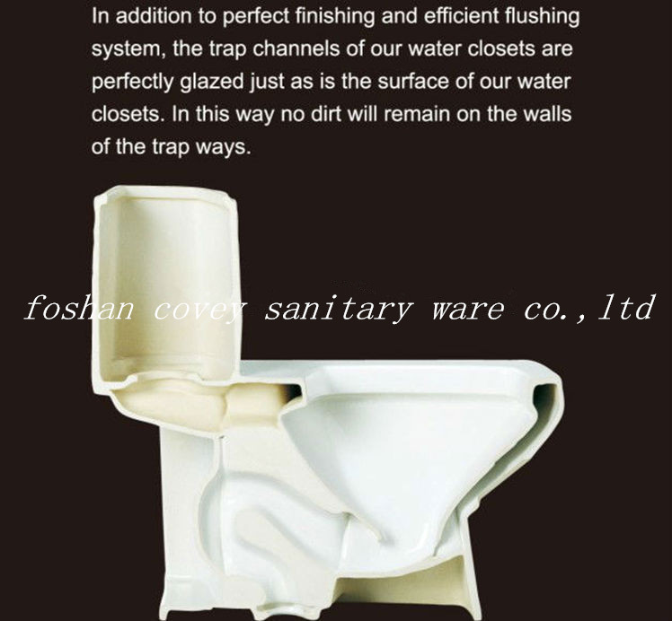 Two Piece Ceramic Toilet with Ce/Watermark Approved (CVT3887)