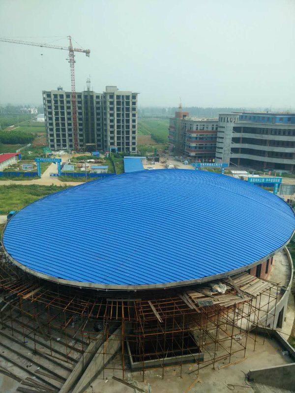 China Prefabricated Steel Sturcture Space Frame Roof