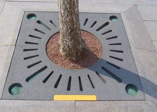 The Best Tree Pool Covering for Urban Construction