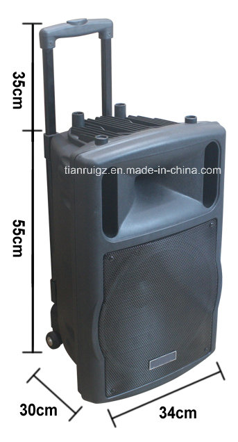 12 Inch Function Trolley Speaker with Mini Bluetooth Battery F78d