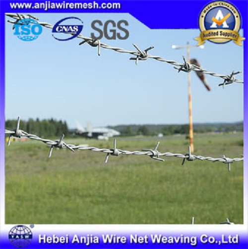 PVC Coated Galvanized Barbed Iron Wire Security Wire