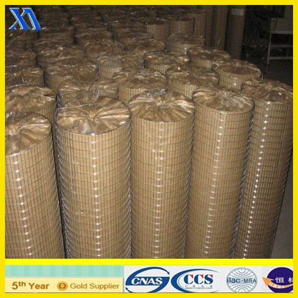 Construction Material Galvanized Welded Wire Mesh (XA-421)