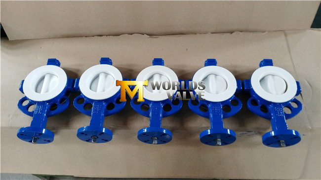 Wafer Type Butterfly Valve with PTFE Liner