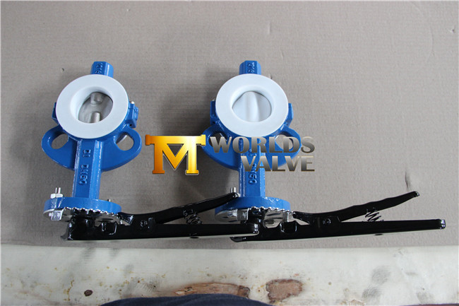 Split Body Wafer Butterfly Valve