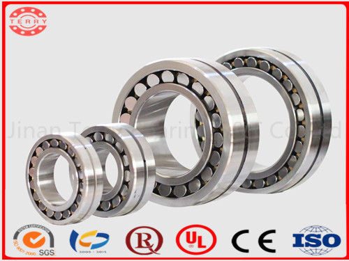 The High Speed Cylindrical Roller Bearing (NJ1022EM)