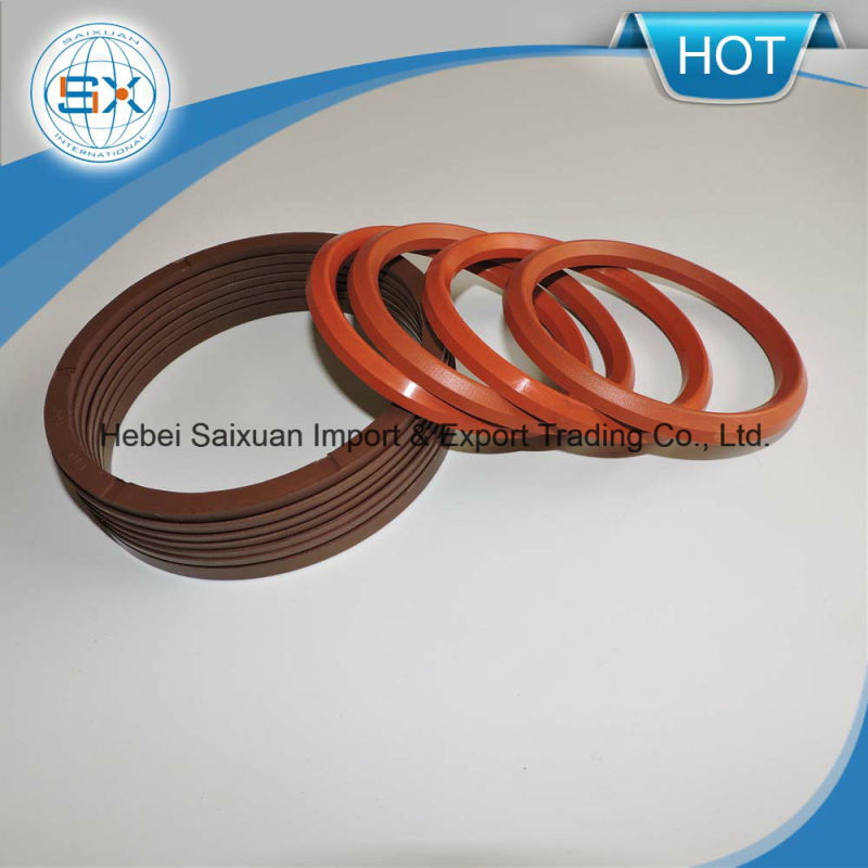 Rubber Viton Ring Va/Vs Seal for Pump, Bearing