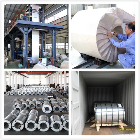 Cold Rolled Galvanized Steel Sheet Gi Coil