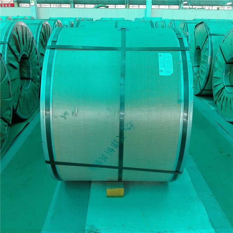 Commercial Use Galvanized Steel Coil (DX51D+Z)